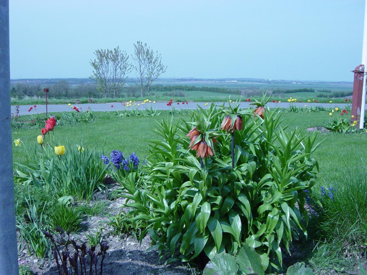 Bed and Breakfast Kardybvej 8 Tastum Экстерьер фото
